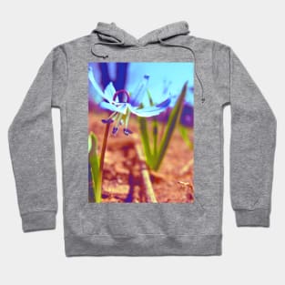 Blue Wildflower Hoodie